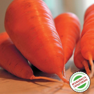 Морковь Болтекс, поздняя тип Шантане Семена -фото