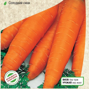 Морковь Флакке Семена моркови -фото