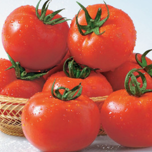 Томат Шеди Леди F1, круглый Семена томатов -фото