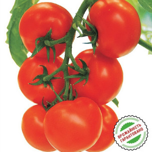 Томат Кристалл F1, округлый Семена томатов -фото