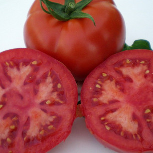 Томат  Мейс F1 Семена томатов -фото